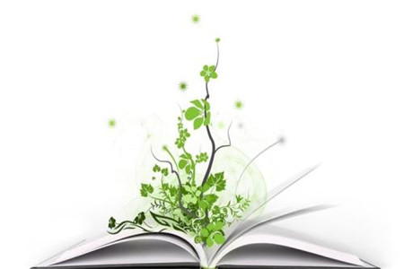 上海自考学位英语备考策略!